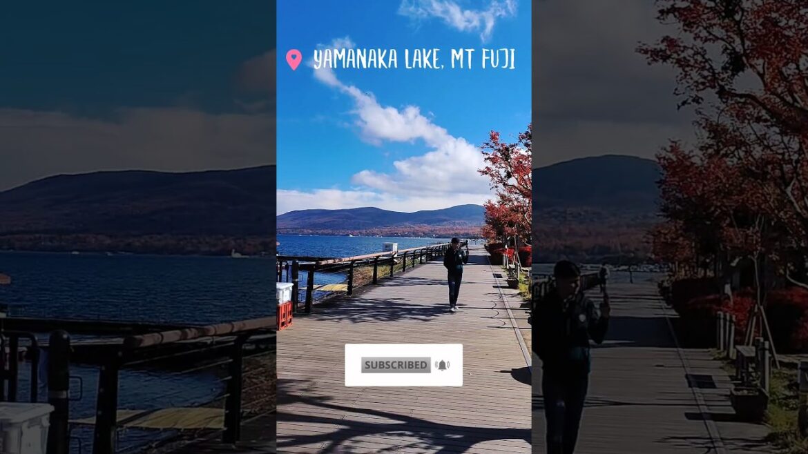 Japan diaries 🗾 | yamanaka lake | Mt Fuji | #shorts #japan #ytshorts #travelshorts #travel Japan diaries 🗾 | yamanaka lake | Mt Fuji | #shorts #japan #ytshorts #travelshorts #travel