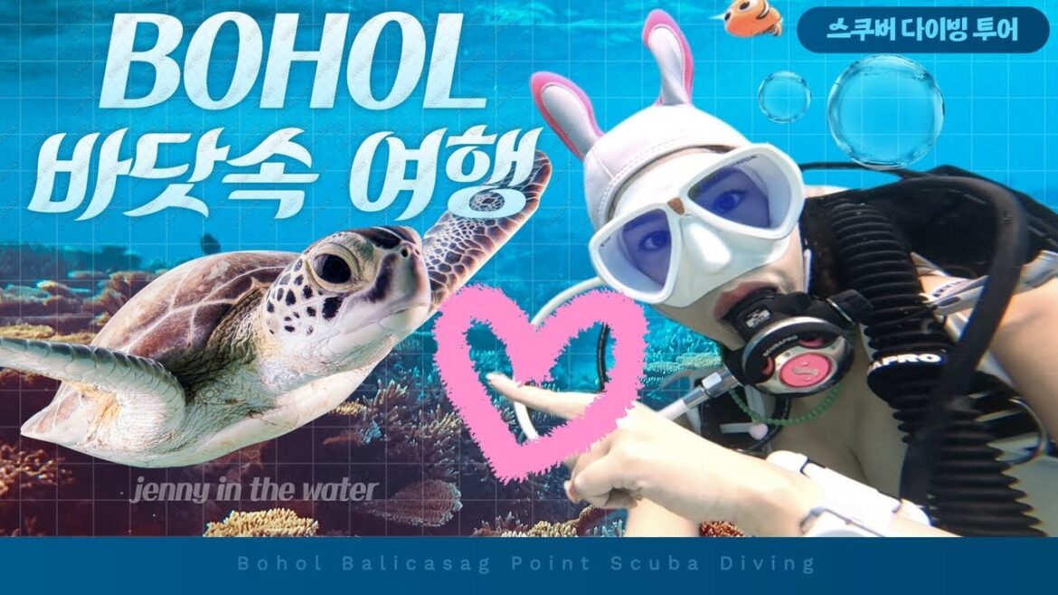 보홀 어디까지 가봤니? 난 바닷속까지!! (보홀여행,발리카삭,바다거북이,스쿠버다이빙,다이빙포인트,고투다이브,혼자여행,호텔추천,마리나포인트베이리조트,BoHol,Vlog) 보홀 어디까지 가봤니? 난 바닷속까지!! (보홀여행,발리카삭,바다거북이,스쿠버다이빙,다이빙포인트,고투다이브,혼자여행,호텔추천,마리나포인트베이리조트,BoHol,Vlog)