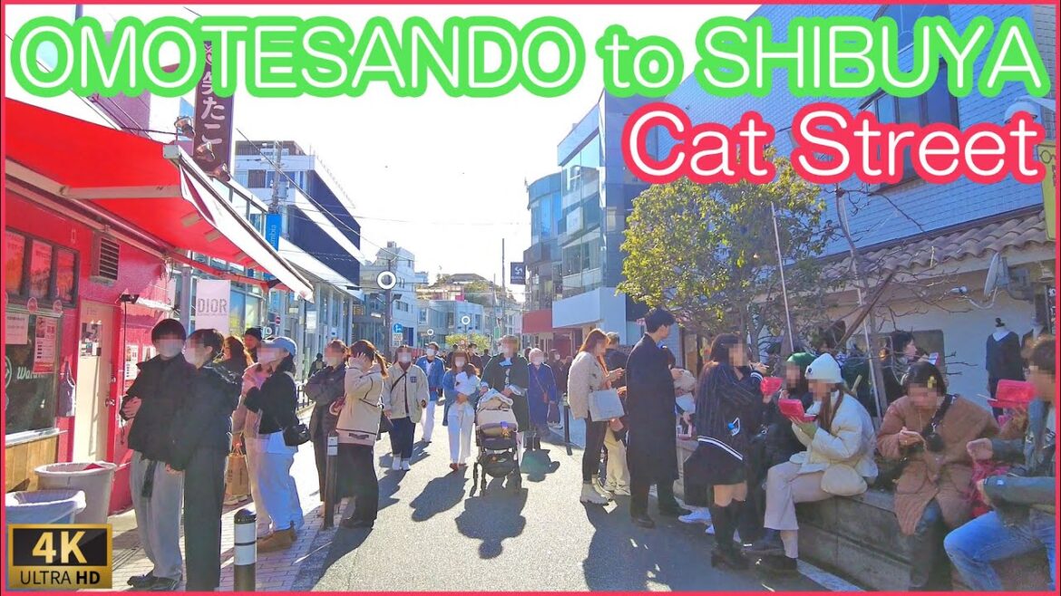 CatStreet walk , from Omotesando to Shibuya 2023