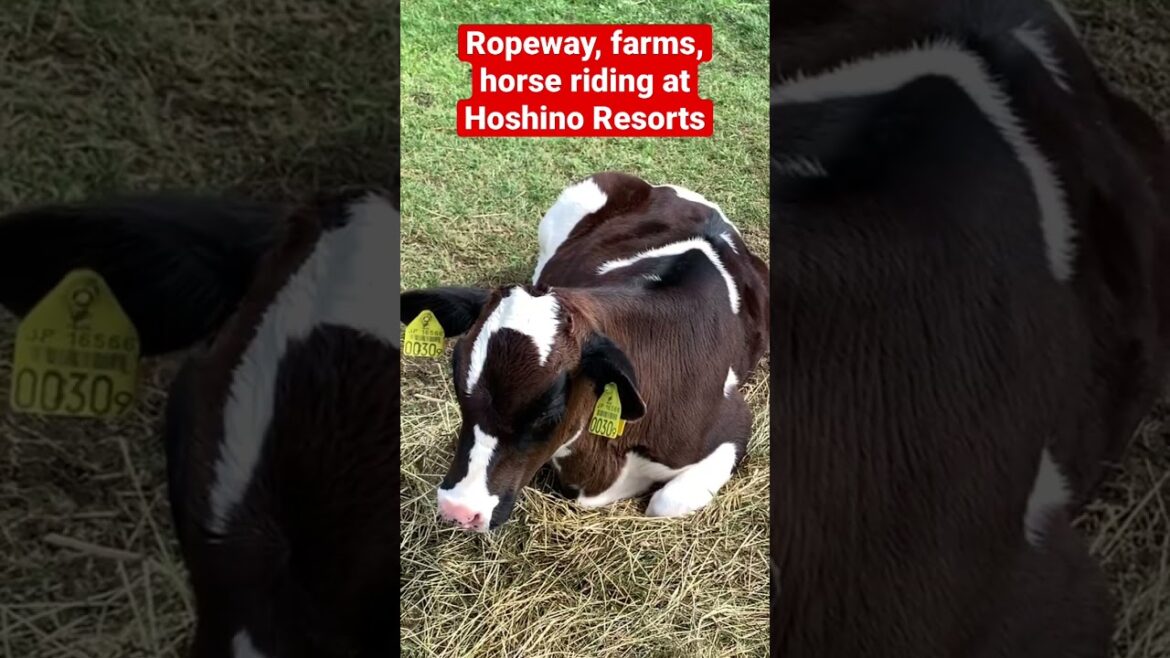 Tour of Hokkaido Japan