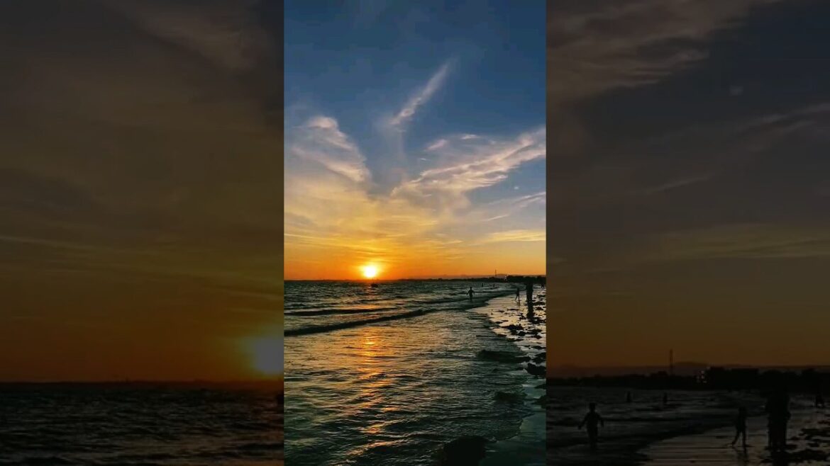 Beautiful Nature. 😍 Nature beauty . Photography #ytshort #shortvideo #foryou #shorts #nature