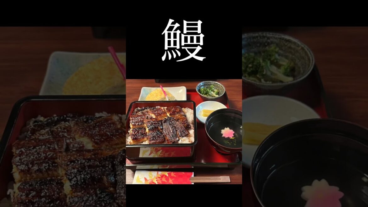 UTAI TRIP~謡旅~ 白髭神社shorts UTAI TRIP~謡旅~ 白髭神社shorts