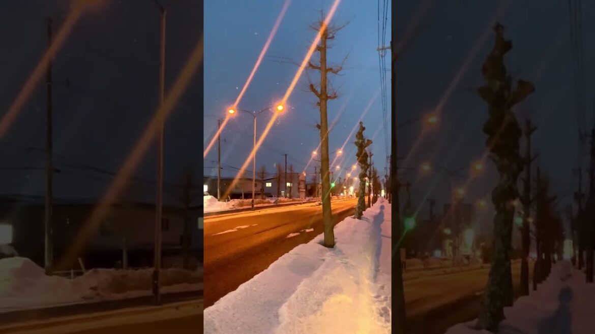 【函館】綺麗な雪がまだまだ降るよ みんなおいでよ北海道 #Shorts 【函館】綺麗な雪がまだまだ降るよ みんなおいでよ北海道 #Shorts