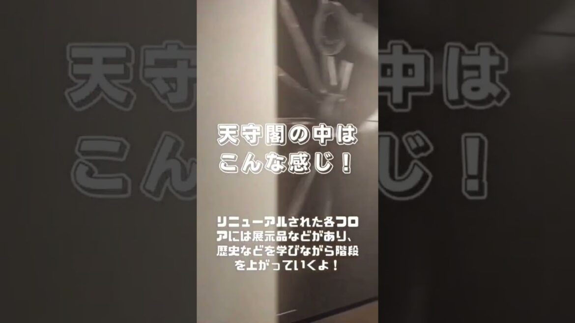 【熊本城行ってみた】#熊本城 #熊本 #旅行 #観光 #shorts