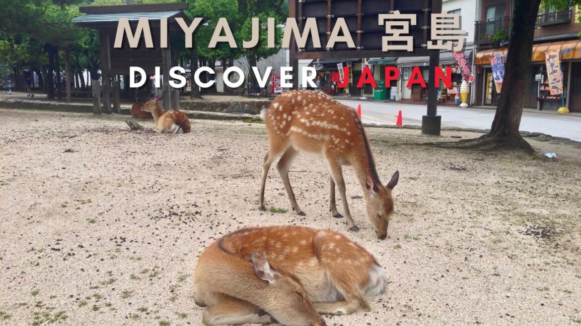 Miyajima, japan's sacred island – Discover Japan (4K Travel Video) #miyajima Miyajima, japan's sacred island - Discover Japan (4K Travel Video) #miyajima
