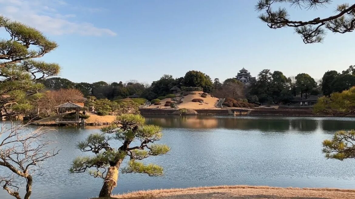 Explore the beautiful Japanese garden, Okayama Korakuen Garden created by samurai.
