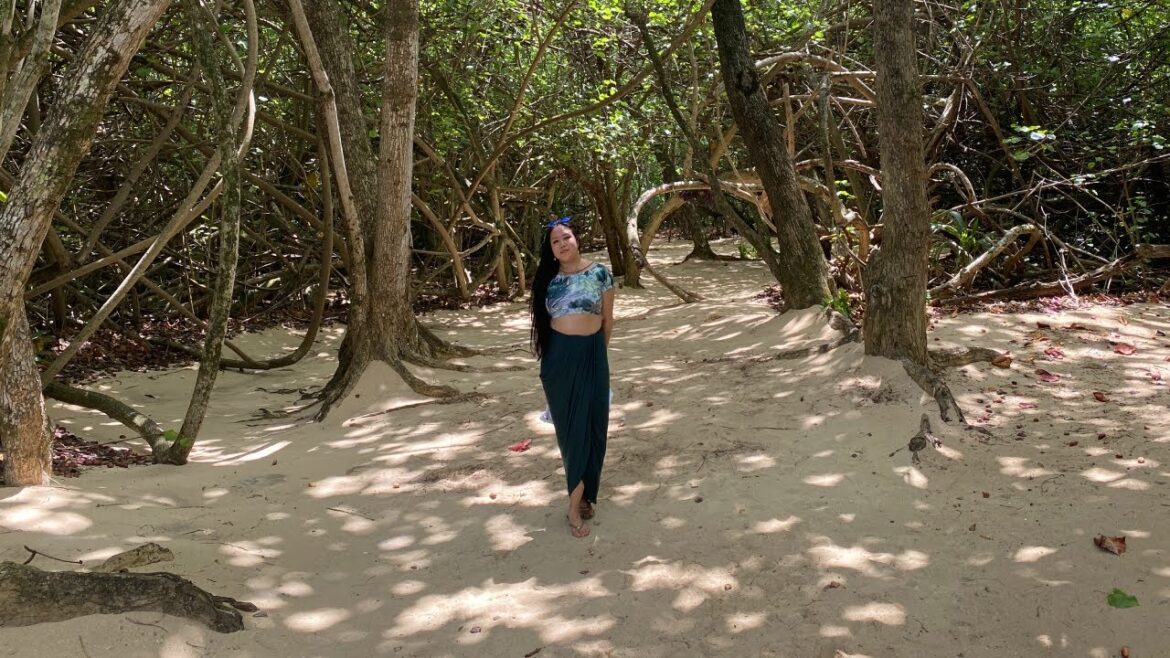 Part 1:  Arrival at Waikiki //  Honolulu, Oahu //  Hawaii Tour 2021