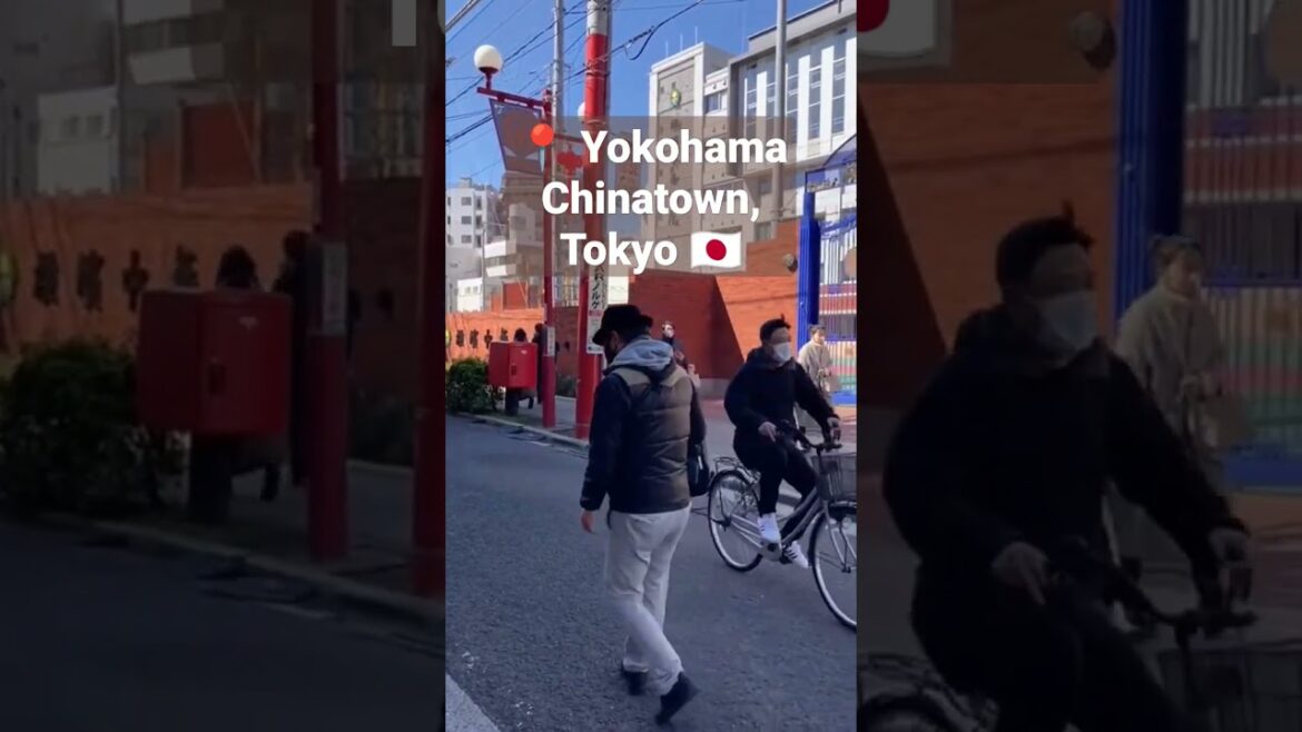 Yokohama Chinatown #shorts #youtubeshorts #yokohama #chinatown Yokohama Chinatown #shorts #youtubeshorts #yokohama #chinatown