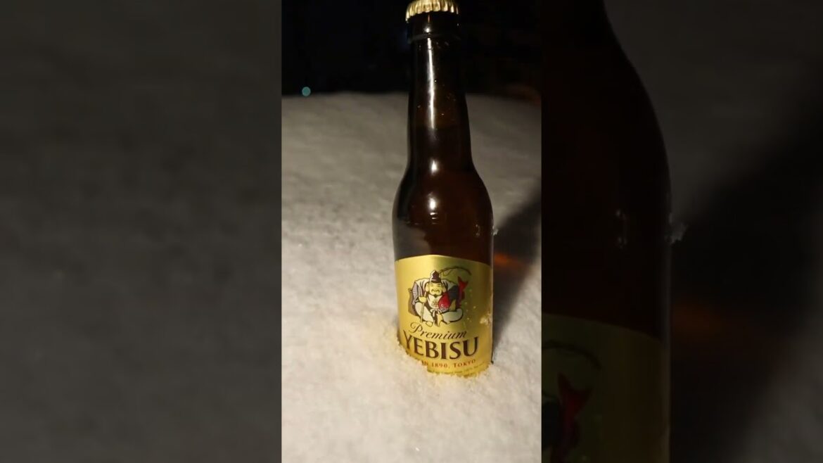 【北海道】出会えたら幸運かも!? 雪国の野生 ビール #Shorts 【北海道】出会えたら幸運かも!? 雪国の野生 ビール #Shorts