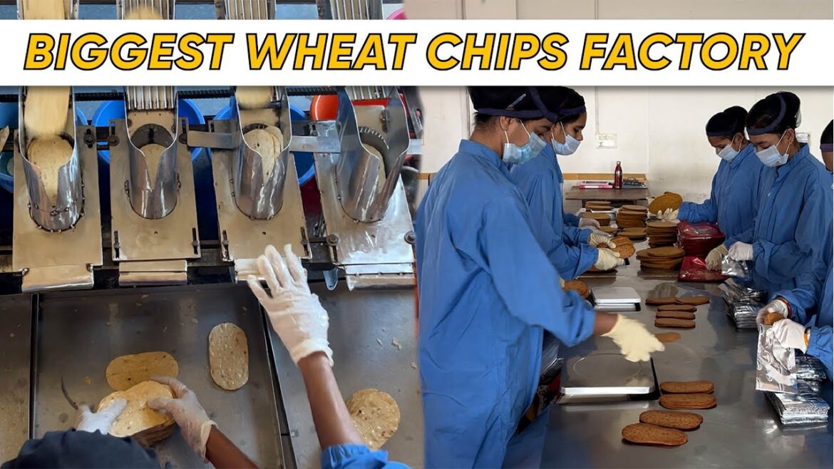 Biggest Wheat Chips Factory | Maniarr's Wheat Chips