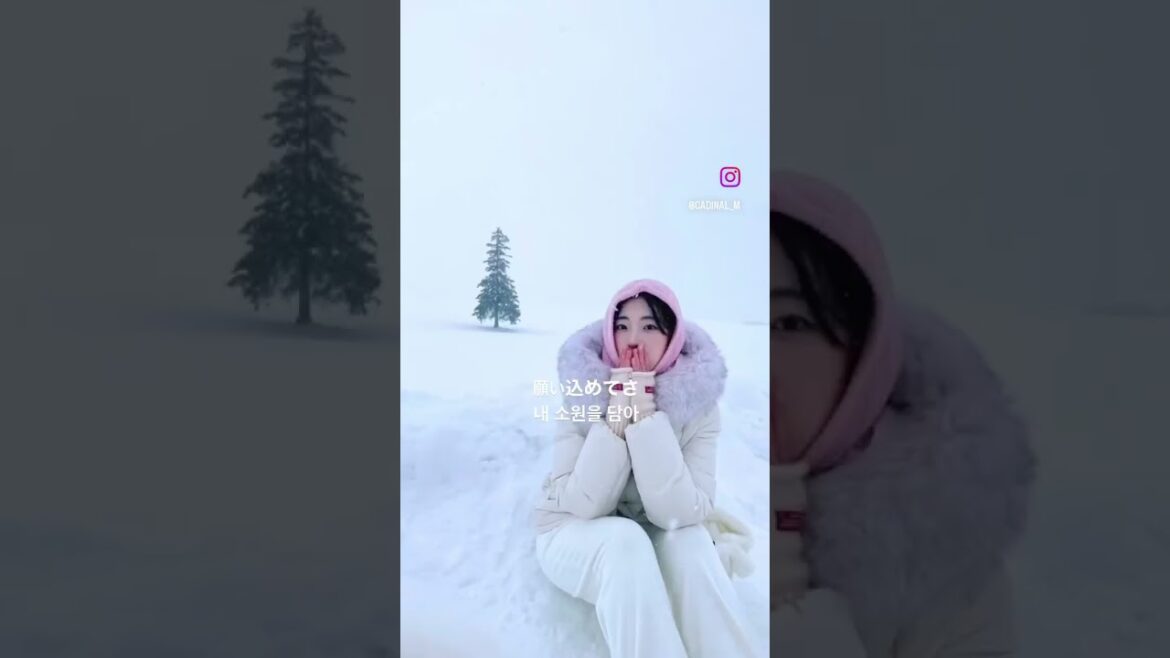 비에이 투어🤍🌲#shorts #tour #sapporo #여행