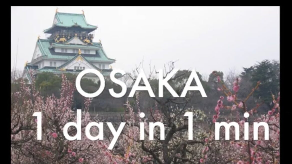 OSAKA IN 1 DAY