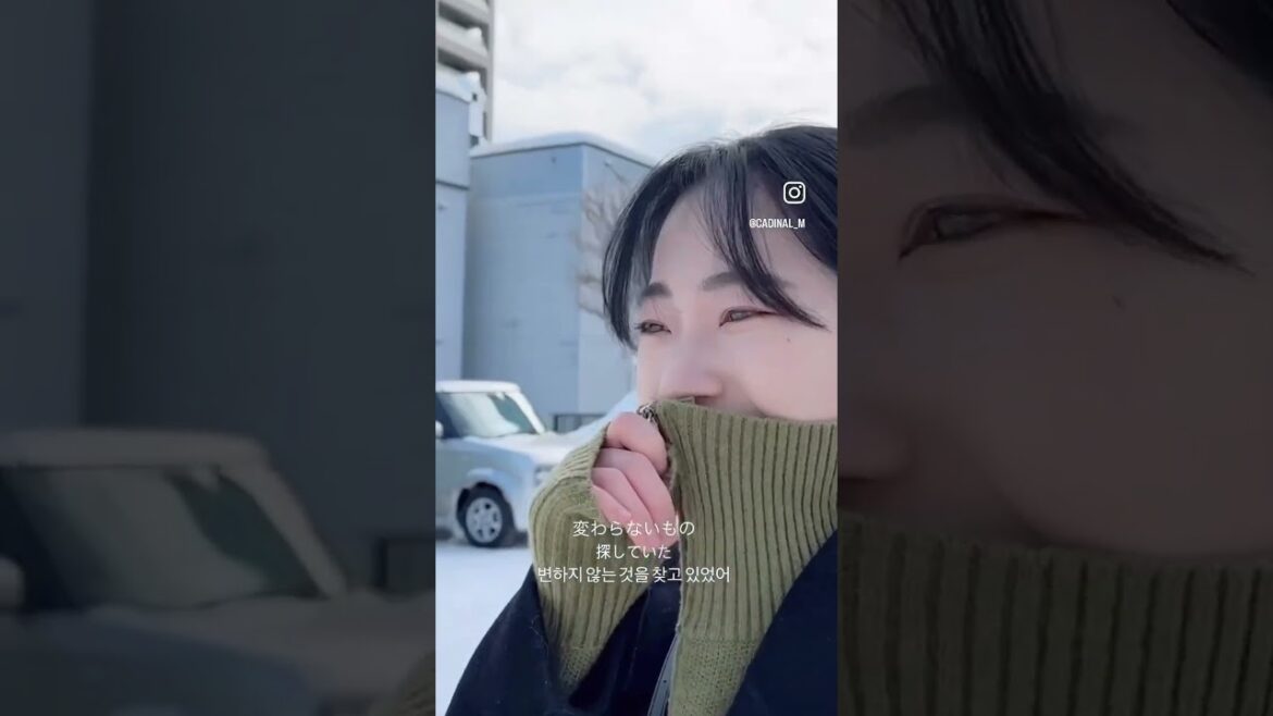 잊을 수 없던 삿포로 그 날🌲🤍🫧 #shorts #sapporo #travel