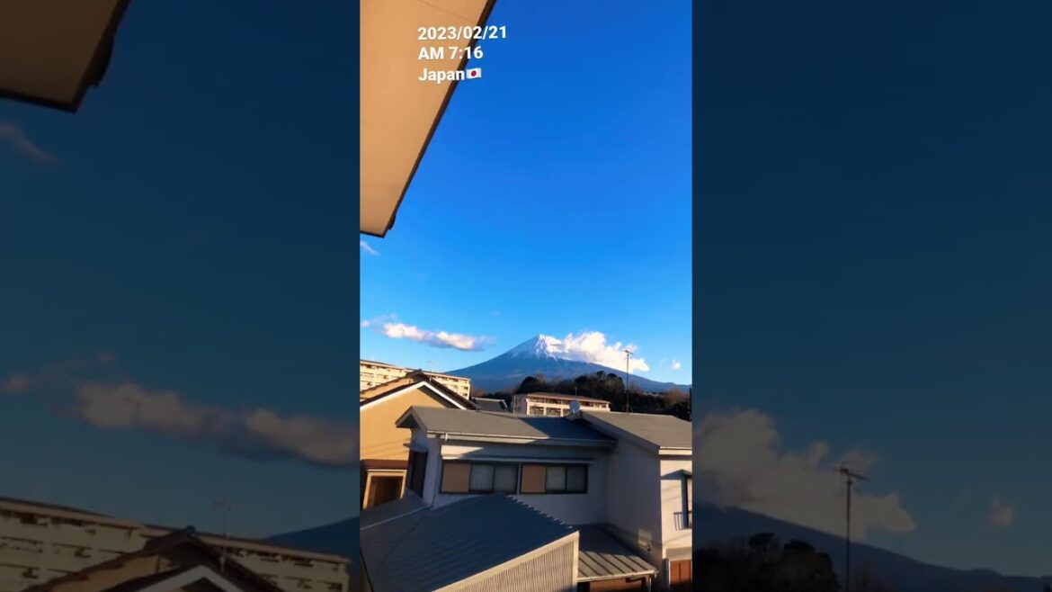 2023/02/21AM 7:16Japan🇯🇵 #mirai #japan #travel #日本 #sizuka #youtubeshort #nature