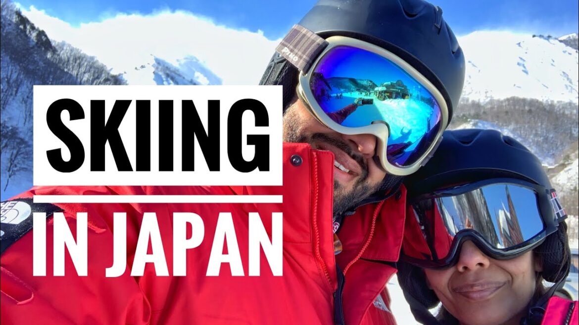 Skiing in Japan |SNOW MONKEYS IN HOT SPRINGS|