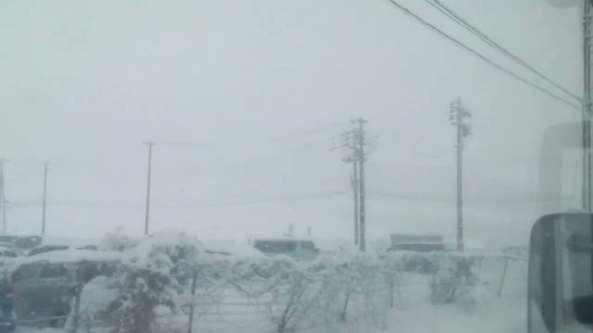 snow fall Japan (niigata)