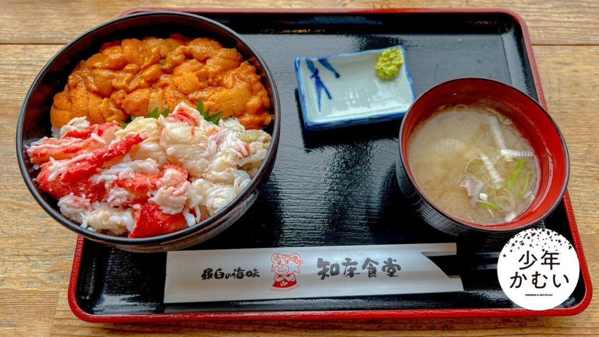 【北海道】知床・羅臼散財生活!こんなものが毎日食べられるなんて、、想像してみてください 【北海道】知床・羅臼散財生活!こんなものが毎日食べられるなんて、、想像してみてください