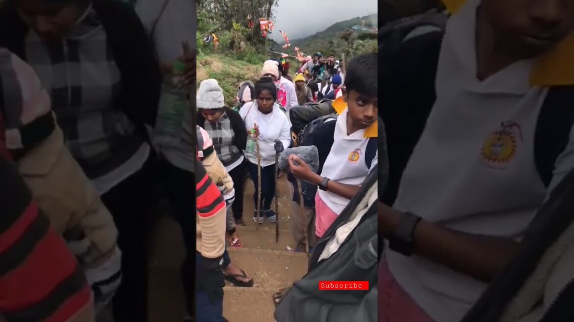 #shorts The Best 💕🤟💕💚 beautiful landscape #youtubeshorts 💕🤟 #vairal 🌍Travel world #shorts The Best 💕🤟💕💚 beautiful landscape #youtubeshorts 💕🤟 #vairal 🌍Travel world