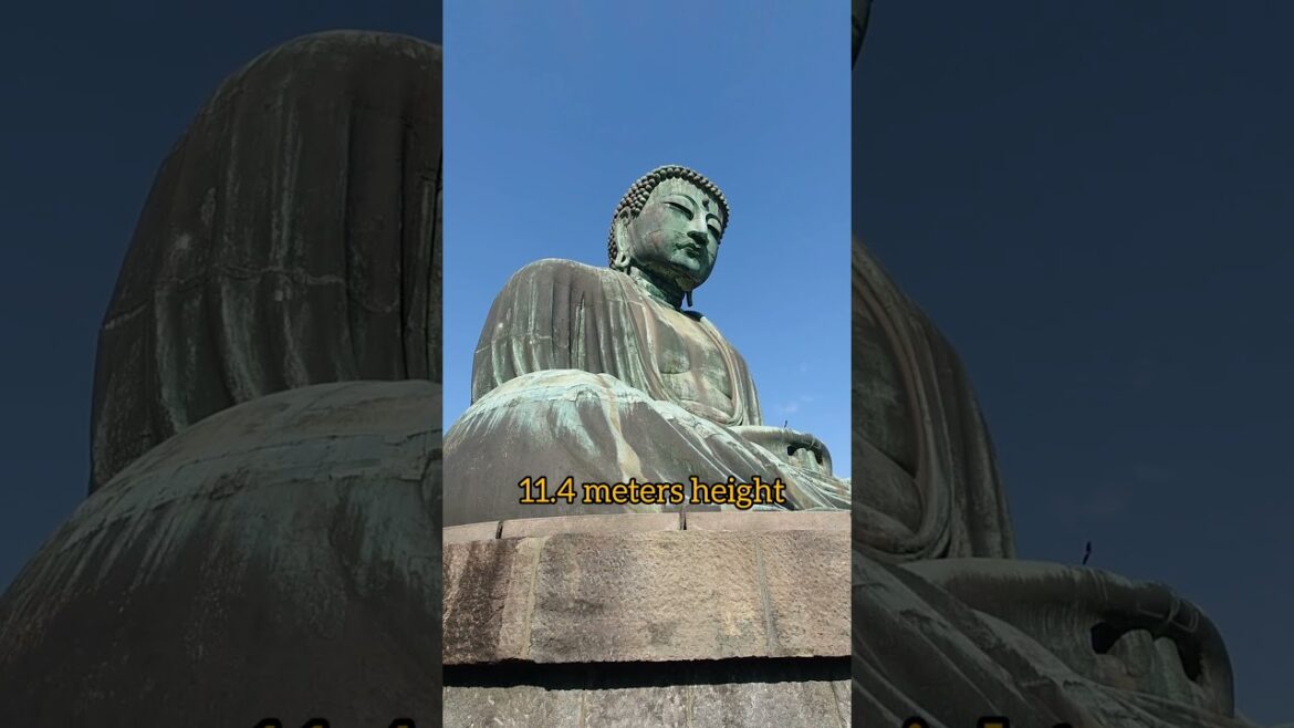 The Great Buddha of Kamakura (Kamakura Daibutsu). #kamakura#japan#travel#daibutsu#traveljapan