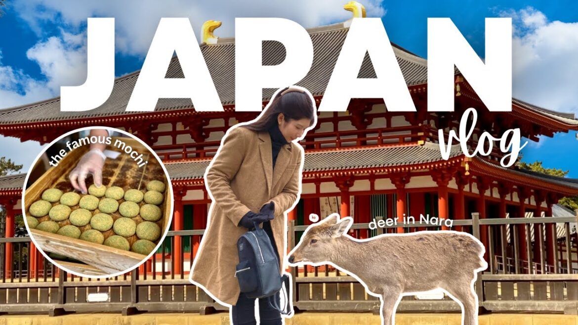 JAPAN TRAVEL VLOG 2023 🇯🇵 The Famous Mochi In NARA JAPAN | Intense Deers at NARA PARK | RONNA IVON