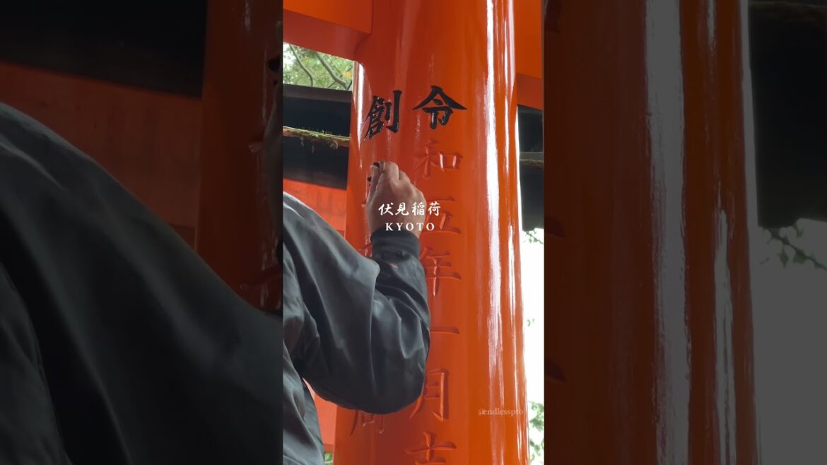 Magical 1000 Torii Gates at Fushimi Inari, Kyoto Magical 1000 Torii Gates at Fushimi Inari, Kyoto