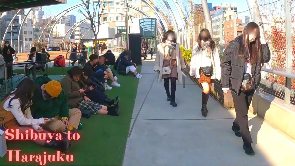 Shibuya to Harajuku Tokyo in Japan walking tour.【4K】2.2023