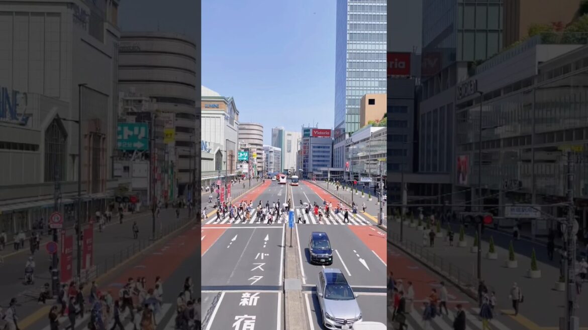 Best places to visit in Japan #travel #shorts