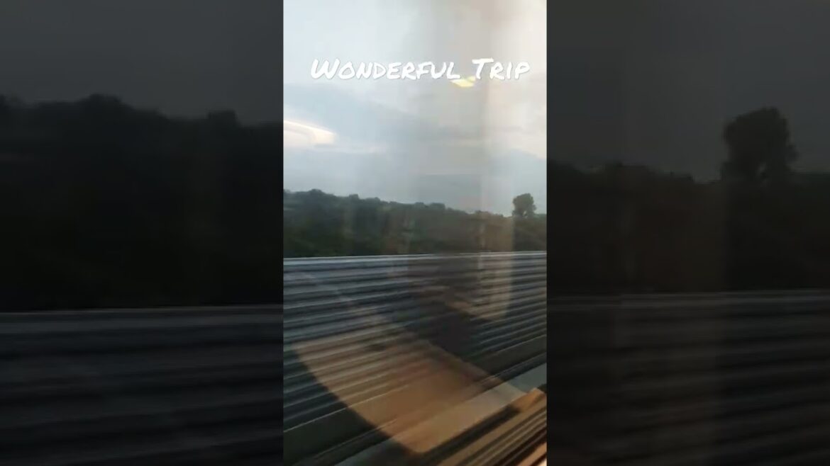 Summer Trip 🚆 #summer #vacation #journey #ktx #highspeedtrain #trip #musimpanas #kereta #perjalanan