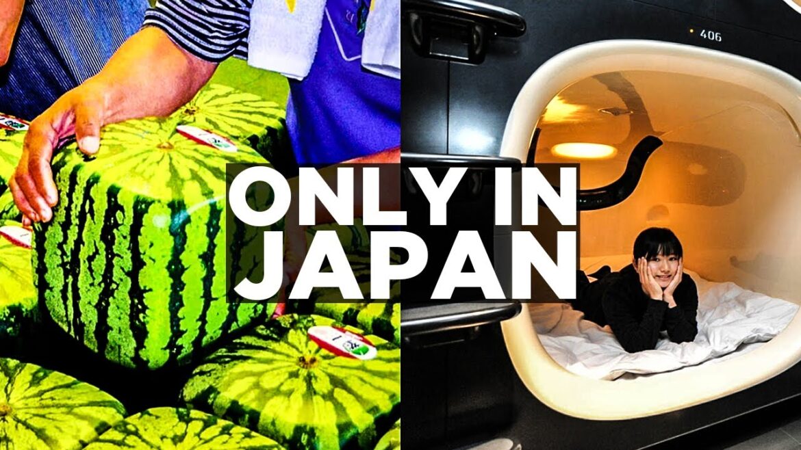 10 Things That Can't Be Seen Anywhere But In Japan 10 Things That Can't Be Seen Anywhere But In Japan