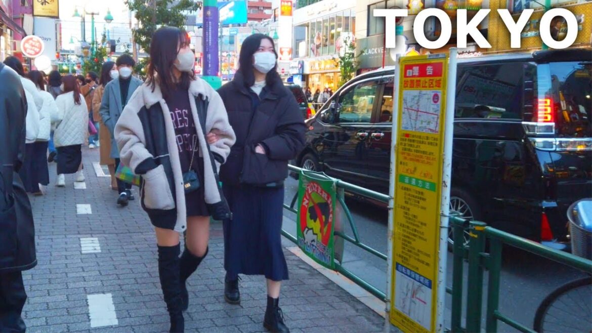 [4k] Tokyo - Walking around Kabukicho and Shin-Okubo. Scenery of downtown (Feb. 2023)