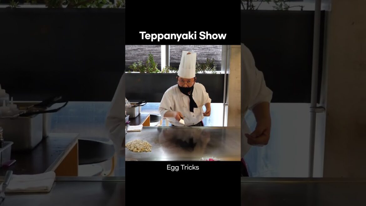 Master Chef Does Egg Trick on Teppanyaki Grill