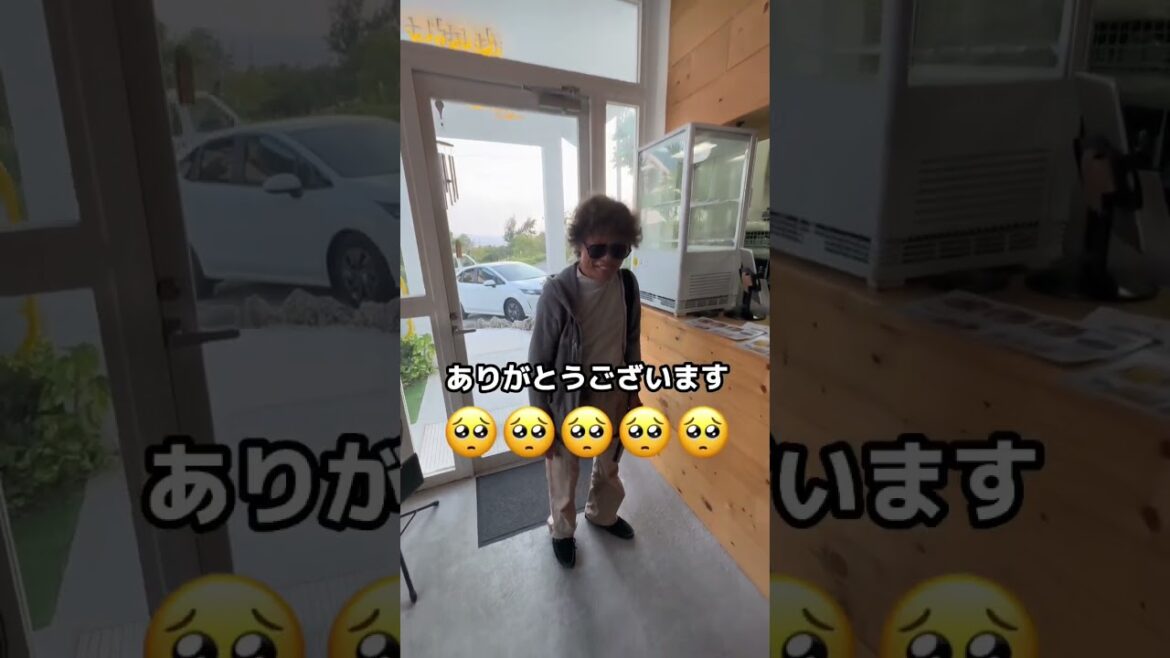 キャンピングカー生活にいきなり新メンバー？！　#キャンピングカー #京大生 #沖縄　#日本一周 #京都大学 #shorts