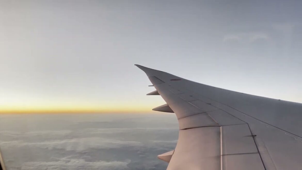 4K Flight Footage | Hong Kong 🇭🇰 → Tokyo Haneda 🇯🇵 | ANA 787-9