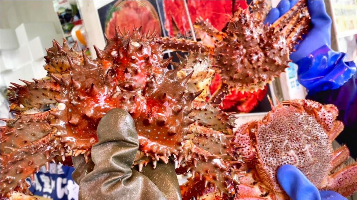 $262, Japanese Crabs in Sapporo | Red King Crab,  Blue King Crab, Hairy Crab
