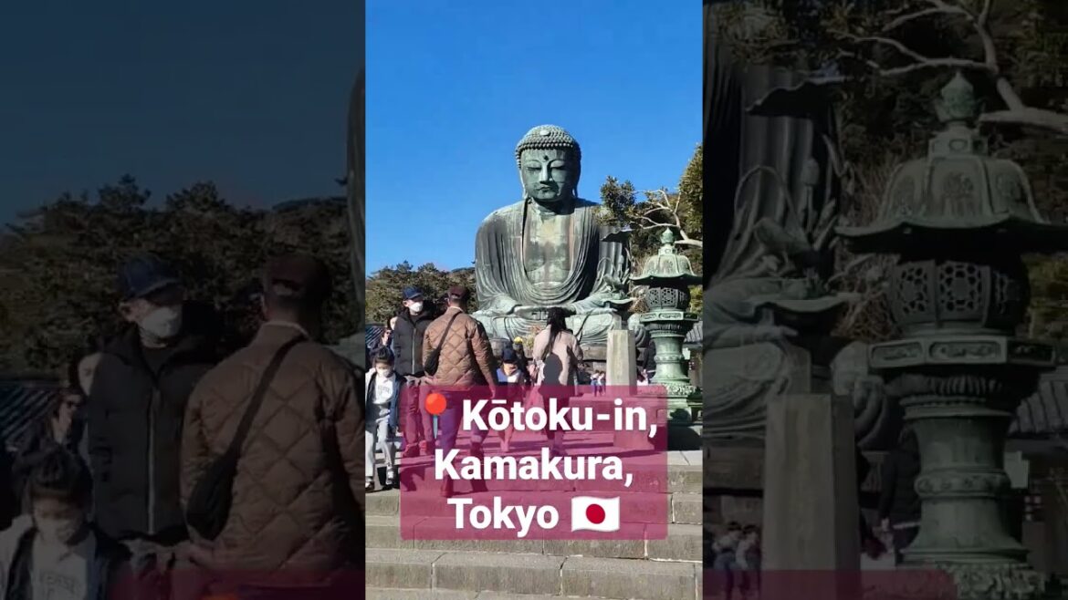 Kamakura Buddhist Temple #shorts #youtubeshorts #kamakura #buddha Kamakura Buddhist Temple #shorts #youtubeshorts #kamakura #buddha