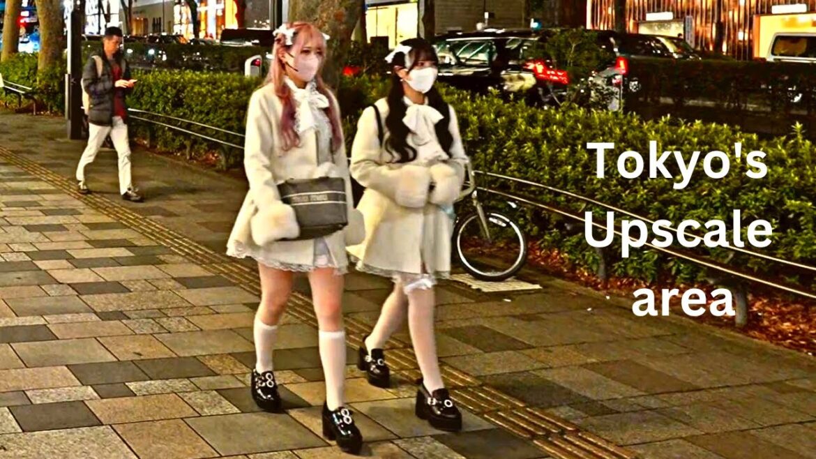 Tokyo's UPSCALE  District and its backstreets at Night