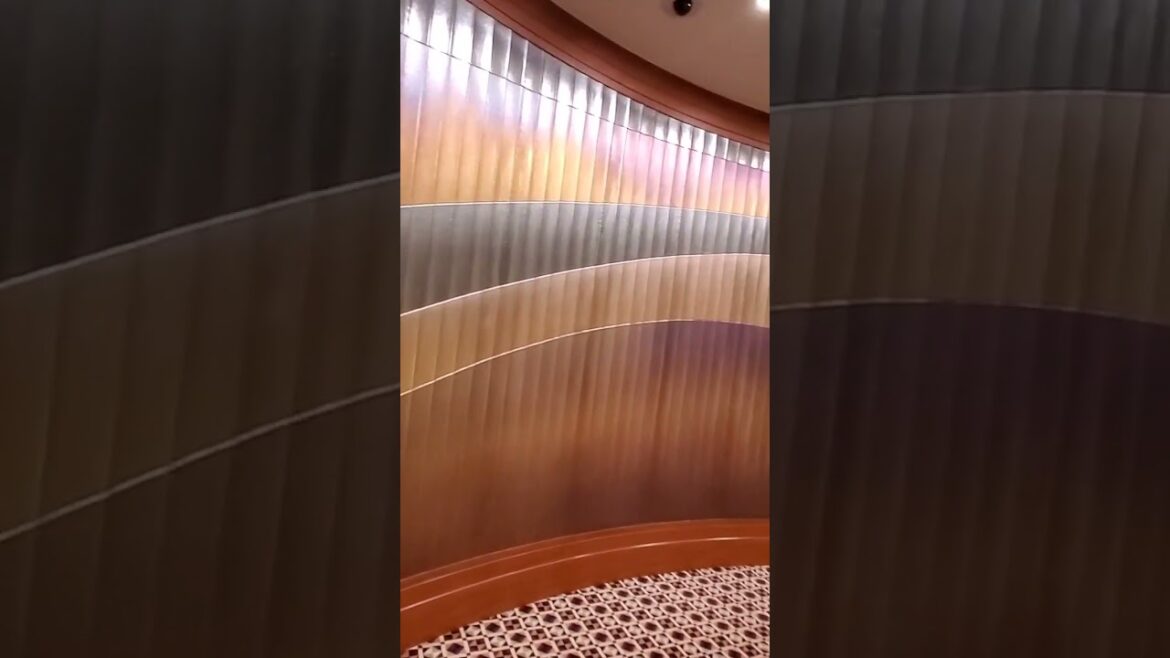 Amazing Art installation inside Imperial Hotel,Osaka  #amazing  #japan