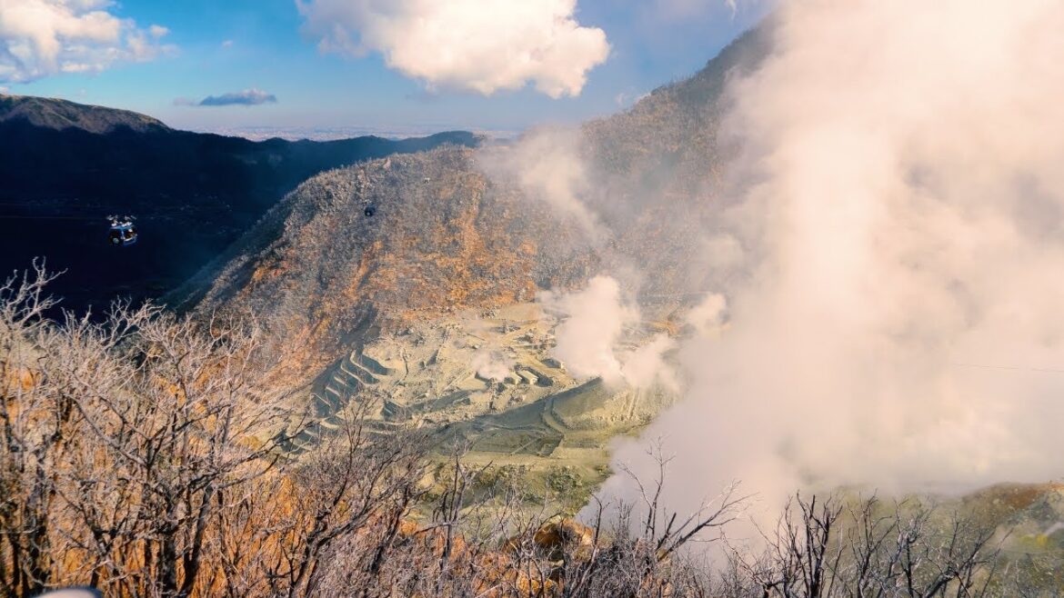 火山の迫力を巡る旅　箱根湯本から大涌谷へ
