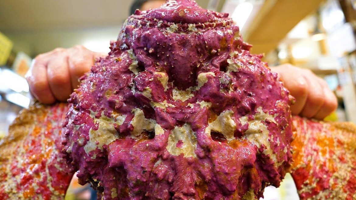 태평양 바다 폭군, 사람도 돌처럼 굳게 만드는 맹독을 가진 스톤피쉬 회 - 오키나와 길거리음식