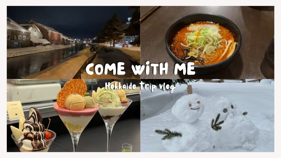 3-day Hokkaido Trip Vlog 🇯🇵❄️: Travel, Food, SNOW! 3-day Hokkaido Trip Vlog 🇯🇵❄️: Travel, Food, SNOW!