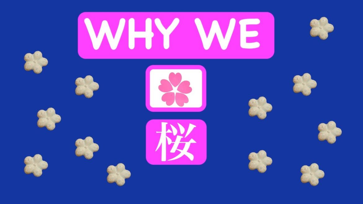 Why people love cherry blossoms (桜の意義)