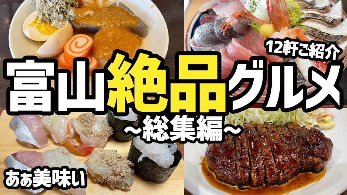 【富山グルメ総集編】あぁ最高過ぎるオススメ10店舗以上をご紹介！美味しいものが多すぎる！【絶品グルメ、お寿司、トンカツ、海鮮丼、ラーメン、カレー、おすすめ旅行先】