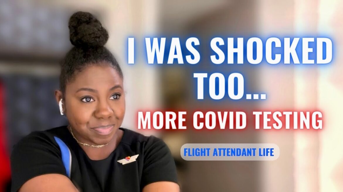FLIGHT ATTENDANT LIFE VLOG