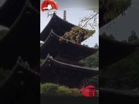 do you want to see unusual things in japan? performing art, streets , architecture , food , game…. do you want to see unusual things in japan? performing art, streets , architecture , food , game....