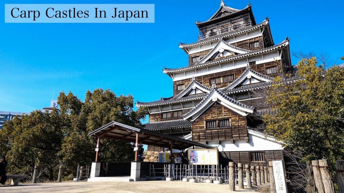 【広島旅行】日本の名城 広島城を散策してみた｜広島市