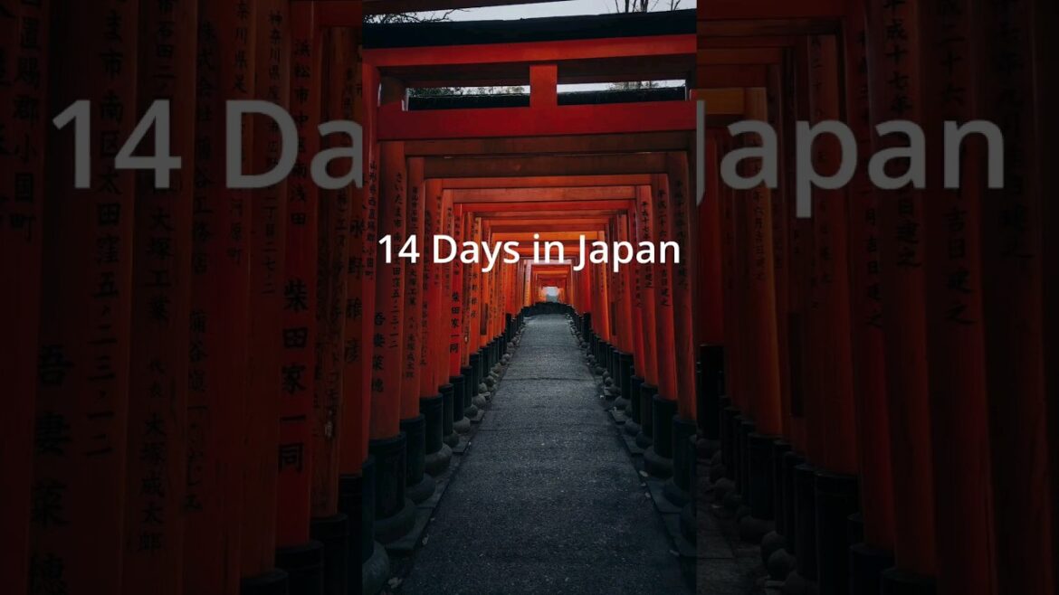 14 Days in Japan🇯🇵🇯🇵🇯🇵 #japan #osaka #kyoto #nara #mtfuji #shorts #14daysjapan