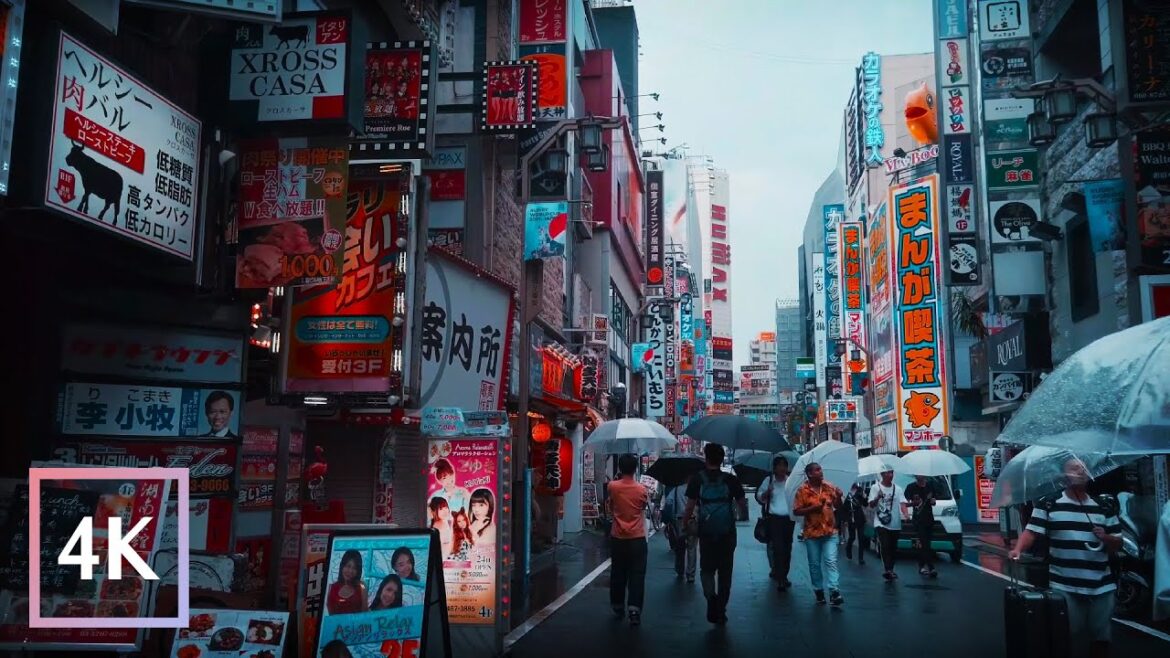 Take a Life-Changing Tour of Shinjuku Shopping Streets in Tokyo  Japan π―π΅ – 4K Vlog 2023! Take a Life-Changing Tour of Shinjuku Shopping Streets in Tokyo  Japan π―π΅ - 4K Vlog 2023!