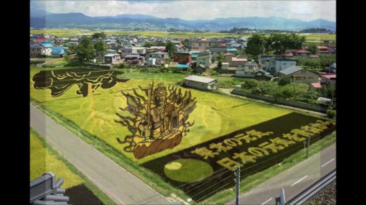 Japanese Rice Field Art (田んぼアート)