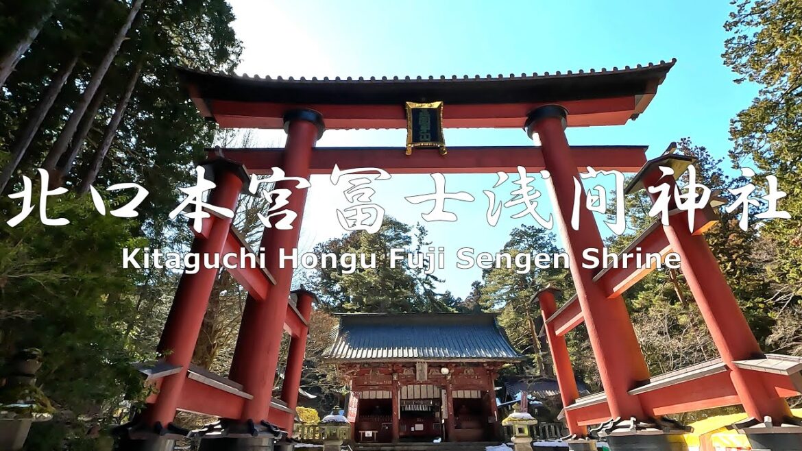 4K NON-STOP Walking around  the solemn Kitaguchi Hongu Fuji Sengen Shrine 　荘厳な北口本宮富士浅間神社を歩く