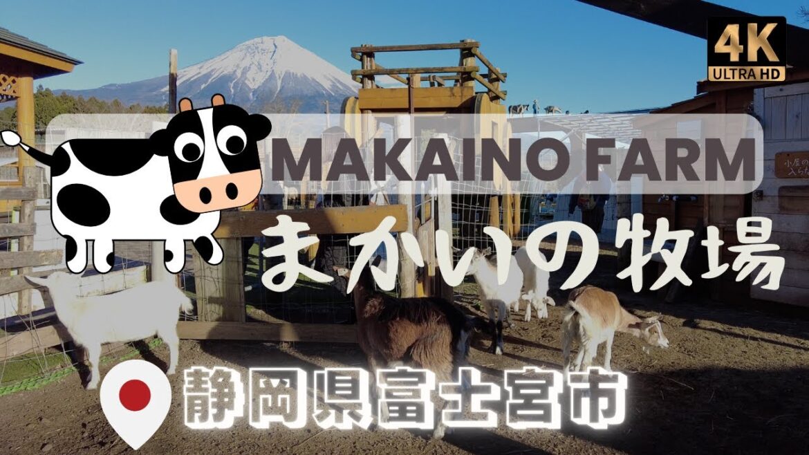 [4K紹介] 静岡県富士宮市🇯🇵まかいの牧場 🐐Makaino Farm 🐮Fujinomiya  🎌Shizuoka 富士山の最高の景色 かわいい動物 #Japan #travel #ranch